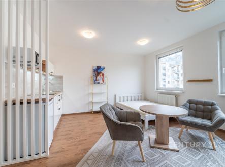 Pronájem bytu, 1+kk, 31 m²