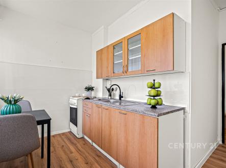 Prodej bytu, 2+1, 52 m²