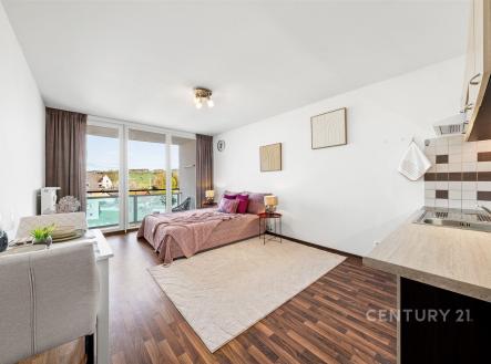 Prodej bytu, 1+kk, 24 m²