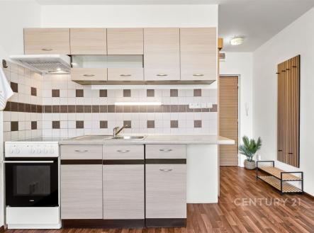 Prodej bytu, 1+kk, 24 m²