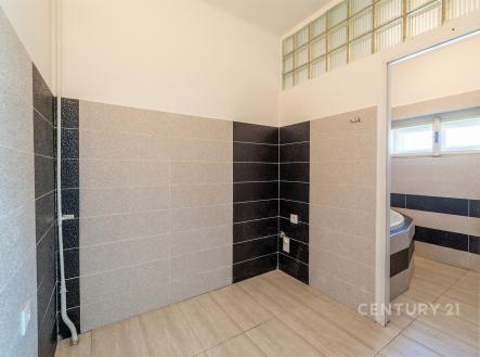 Pronájem domu/vily, 138 m²
