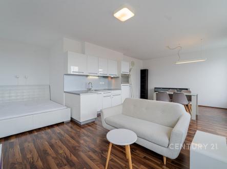 Pronájem bytu, 1+kk, 43 m²
