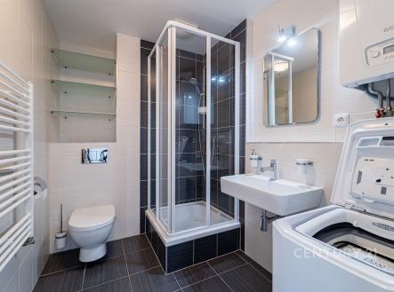 Pronájem bytu, 1+kk, 43 m²