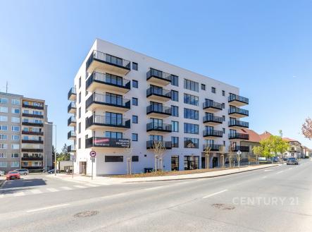 Pronájem bytu, 1+kk, 43 m²