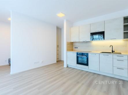 Pronájem bytu, 1+kk, 43 m²