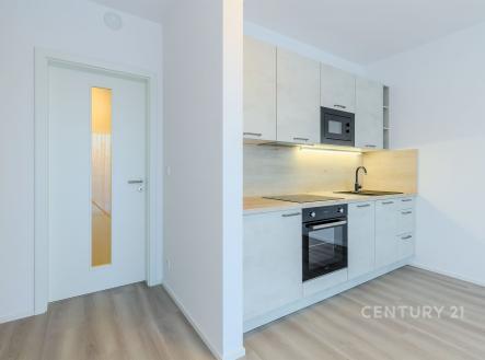 Pronájem bytu, 1+kk, 43 m²
