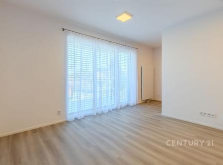 Pronájem bytu, 1+kk, 43 m²