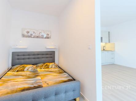 Pronájem bytu, 1+kk, 43 m²