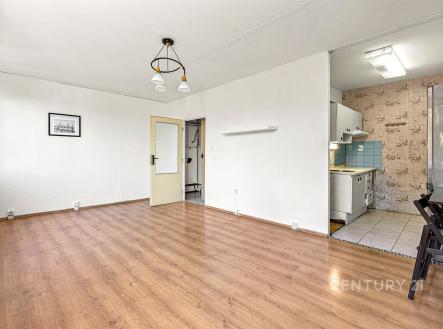Prodej bytu, 1+kk, 35 m²