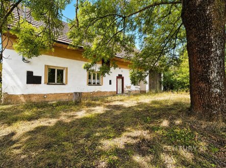 Nemovitost