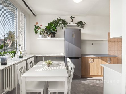 Prodej bytu, 3+1, 75 m²