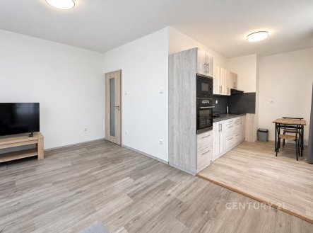Pronájem bytu, 1+kk, 34 m²