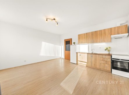 Pronájem bytu, 1+kk, 33 m²