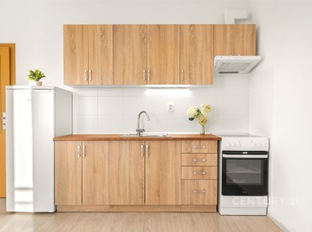 Pronájem bytu, 1+kk, 33 m²