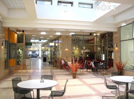 Pronájem kanceláře, 19 m²