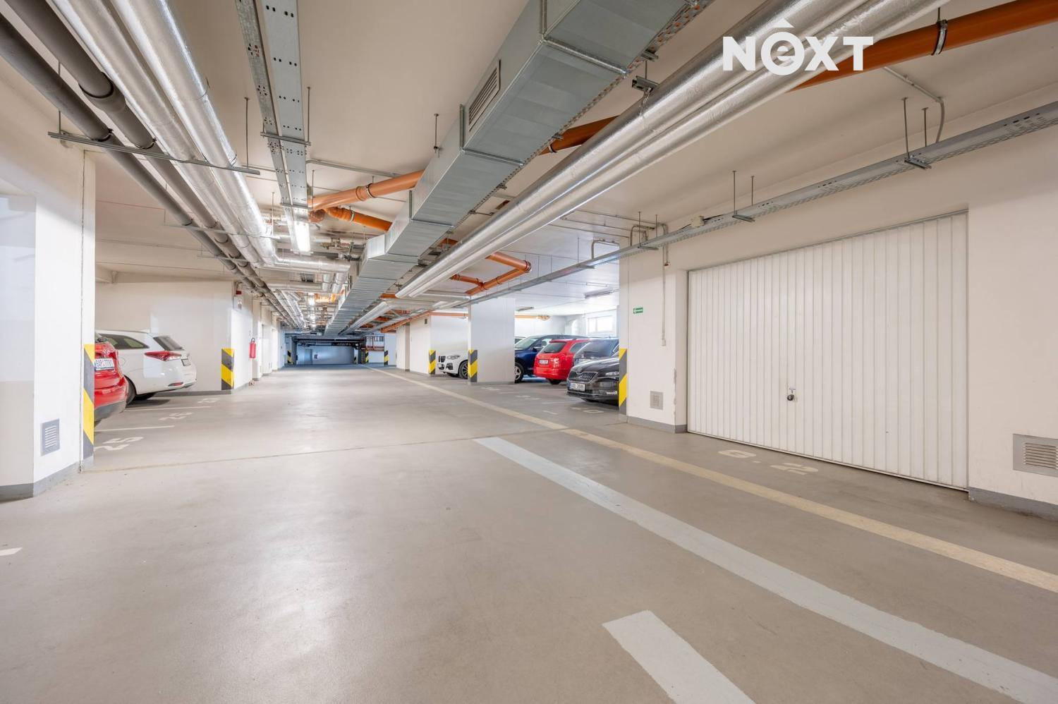 Fotku se nepodařilo načíst.