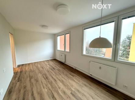 Pronájem bytu, 2+1, 48 m²