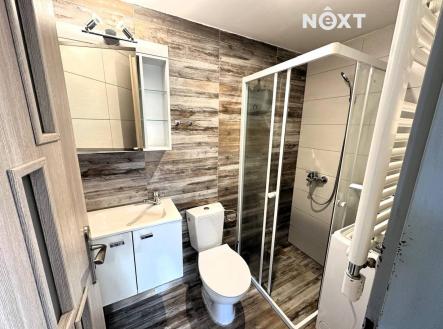 Pronájem bytu, 1+kk, 15 m²