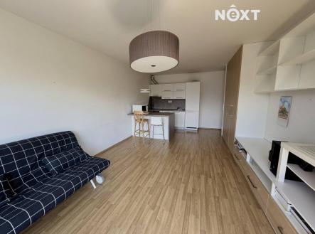 Pronájem bytu, 1+kk, 41 m²