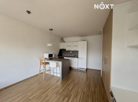 Pronájem bytu, 1+kk, 41 m²
