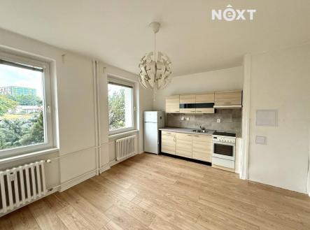 Pronájem bytu, 1+kk, 25 m²