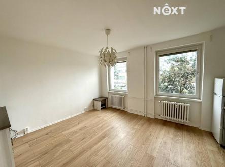Pronájem bytu, 1+kk, 25 m²