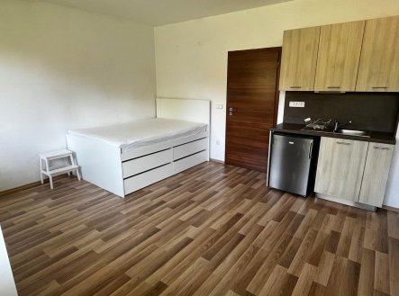 Pronájem bytu, 1+kk, 31 m²