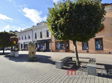 Prodej nájemního domu, 307 m²