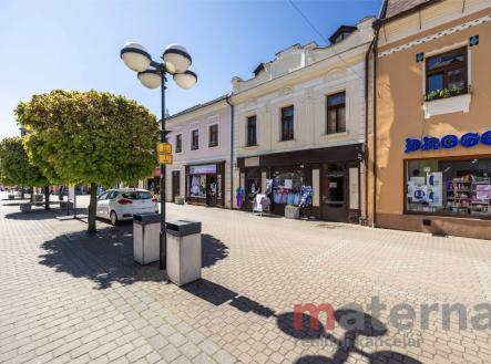 Prodej nájemního domu, 307 m²
