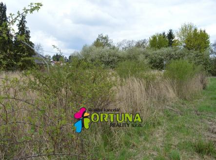 Prodej pozemku pro bydlení, 5 887 m²