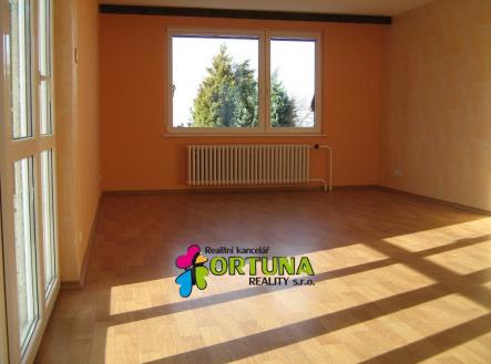 Pronájem bytu, 4+1, 100 m²