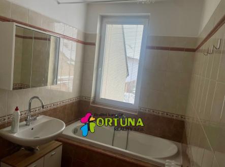 Pronájem bytu, 4+kk, 100 m²