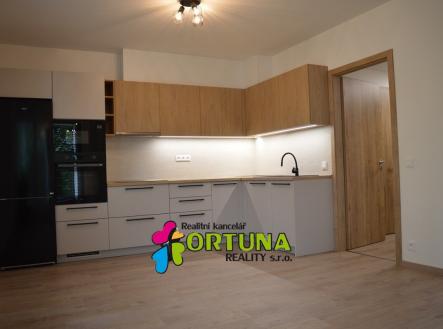 Pronájem bytu, 3+kk, 58 m²