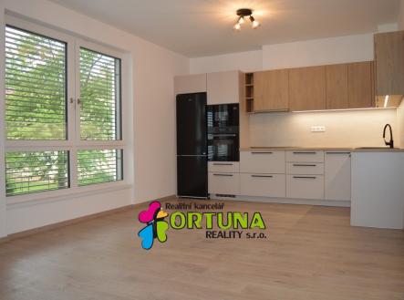 Pronájem bytu, 3+kk, 58 m²