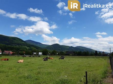 Prodej pozemku pro bydlení, 2 150 m²