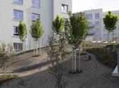 Prodej bytu, 5+kk, 136 m²