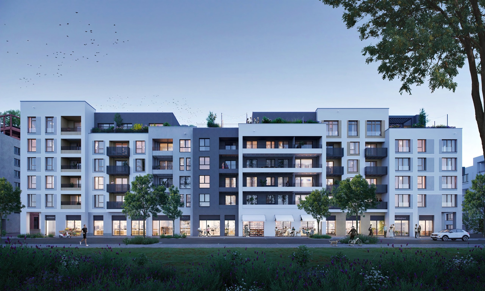 4_Komoranska_8000X4800 edited cars