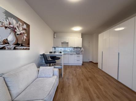 Pronájem bytu, 1+kk, 32 m²