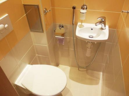 Prodej bytu, 1+1, 45 m²