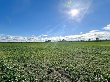 Prodej pozemku pro bydlení, 14 166 m²