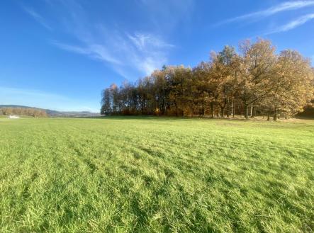Prodej pozemku, trvalý travní porost, 33 698 m²