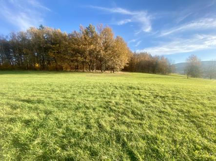 Prodej pozemku, trvalý travní porost, 33 698 m²