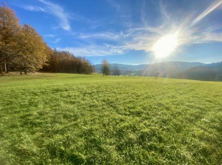 Prodej pozemku, trvalý travní porost, 33 698 m²