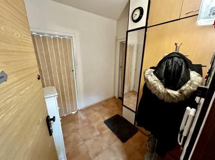 Prodej bytu, 1+1, 44 m²