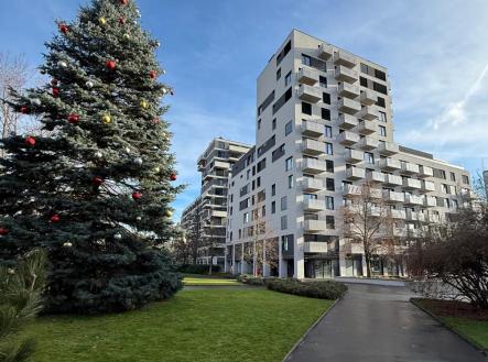 Pronájem bytu, 2+kk, 66 m²