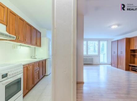 Prodej bytu, 1+1, 56 m²