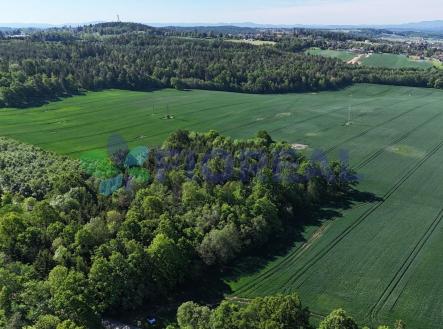 Prodej - pozemek pro bydlení, 6 449 m²