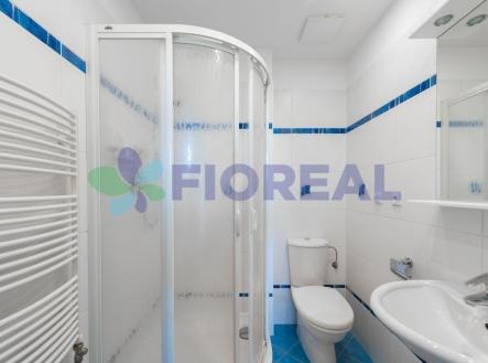 Pronájem bytu, 5+1, 163 m²