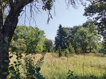 Prodej pozemku, zahrada, 2 433 m²