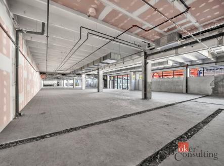Pronájem komerčního objektu, jiný, 1 173 m²